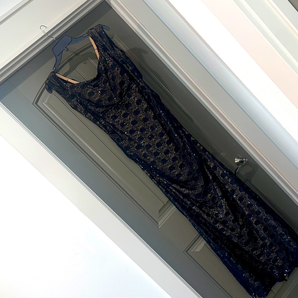 Alex evenings gown